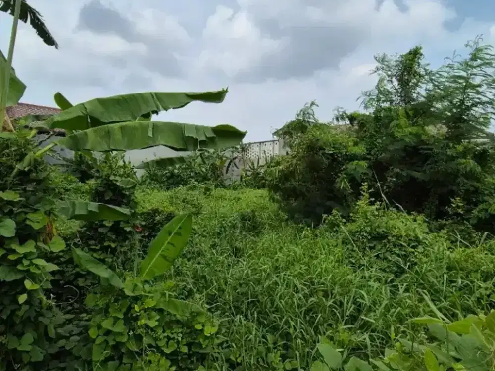 DIJUAL TANAH KLAMPIS SEMOLO BARAT SURABAYA