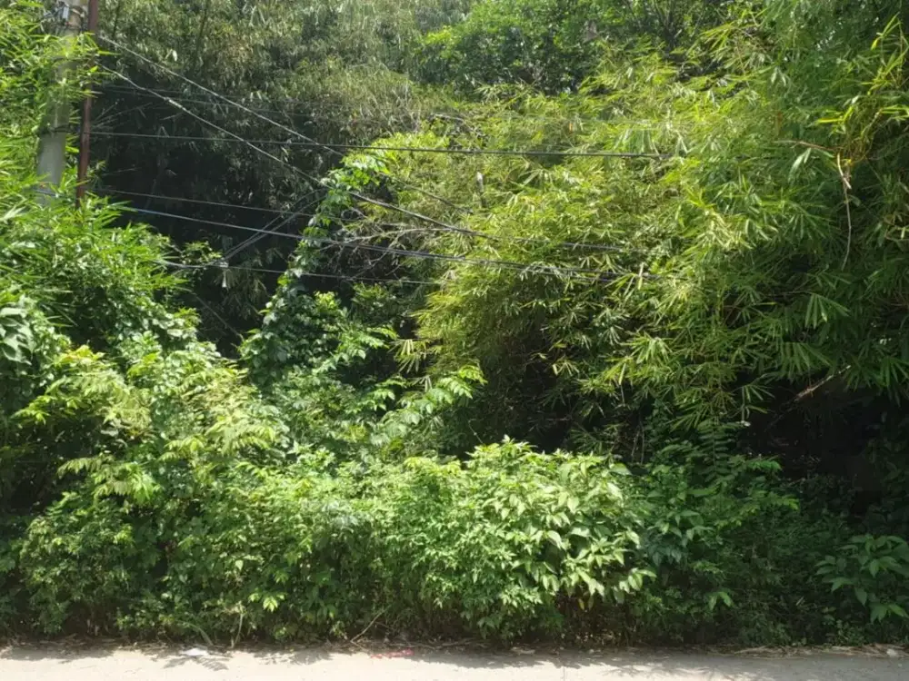 Dijual Tanah Cileles Bantar Panjang Tigaraksa Tangerang