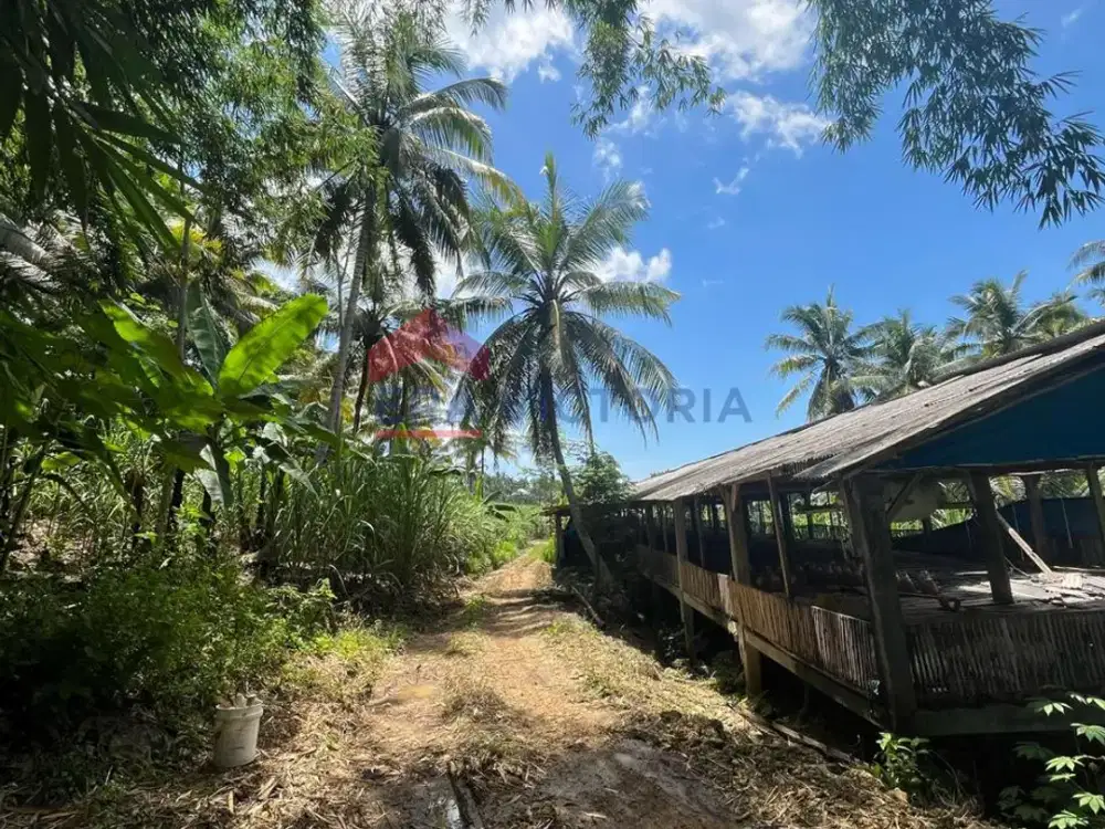 Tanah Sangat Luas Area Bantur Berada di Jalur Wisata Balekambang
