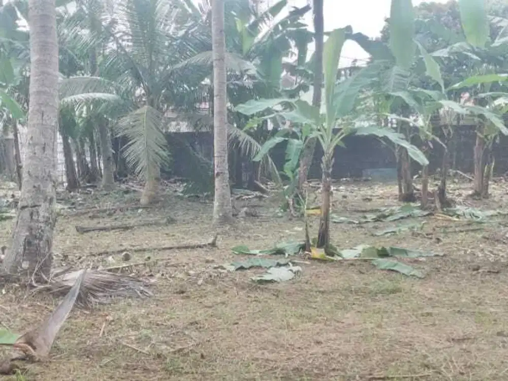 Jual Tanah Strategis di Jalan Utama Taman Cimanggu