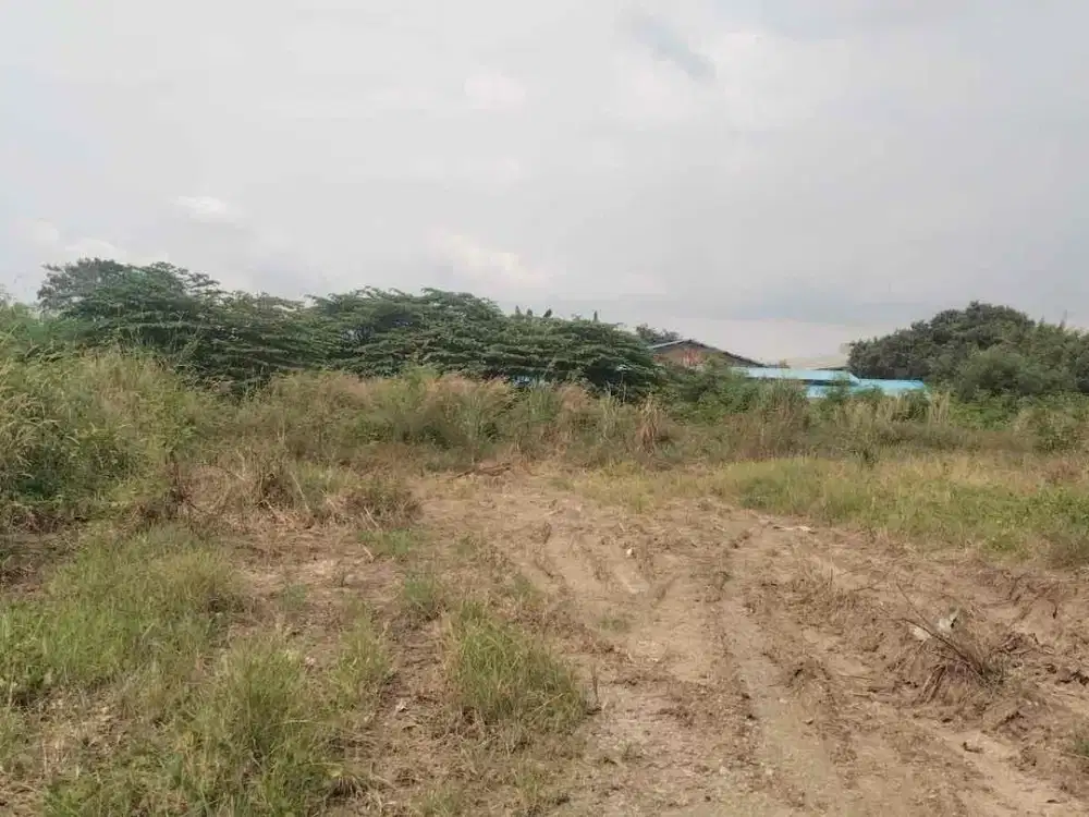 Dijual Lahan Tanah Padat Komersil Sudah Tinggi Dari Jalan di Lippo Cikarang
