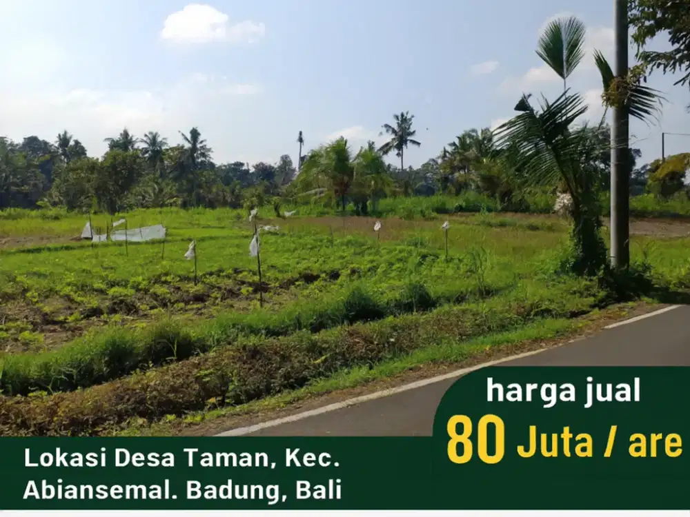 JUAL TANAH SAWAH DI ABIANSEMAL, BADUNG