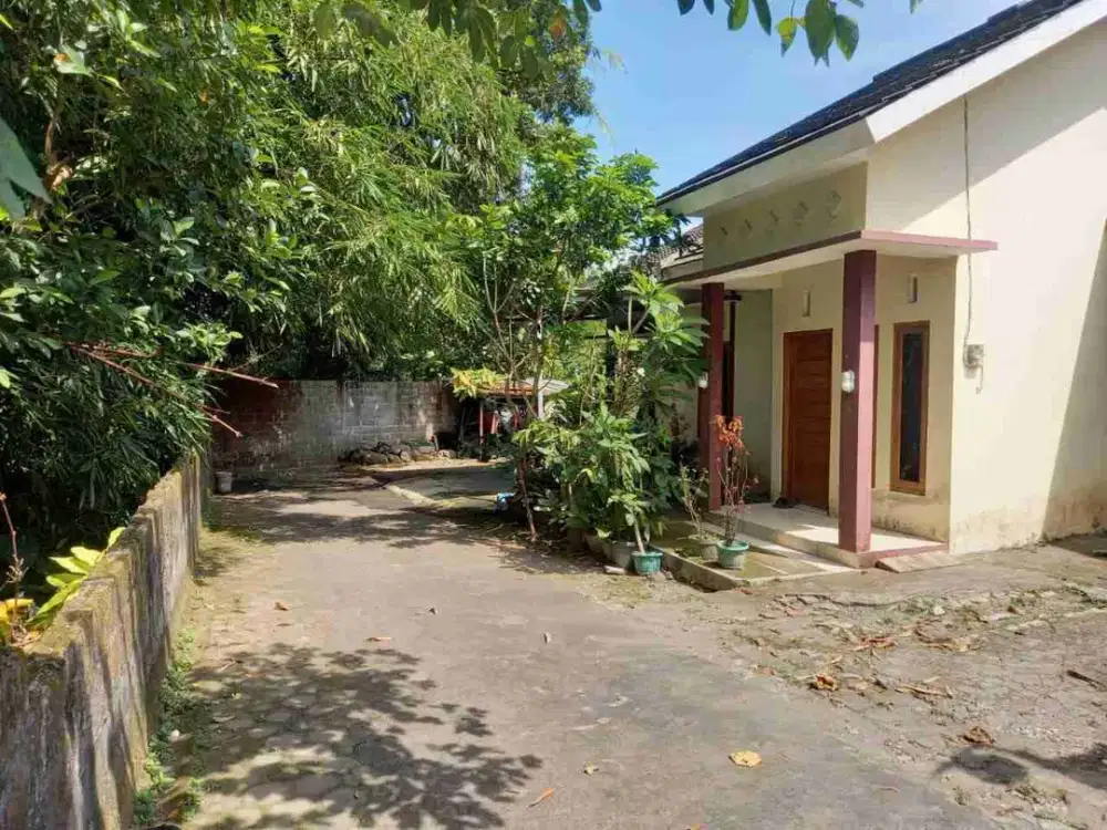 Rumah BU, murah...lokasi di belakang Kantor BPN SLEMAN dkt Pasar, PEMDA, POLRES SLEMAN