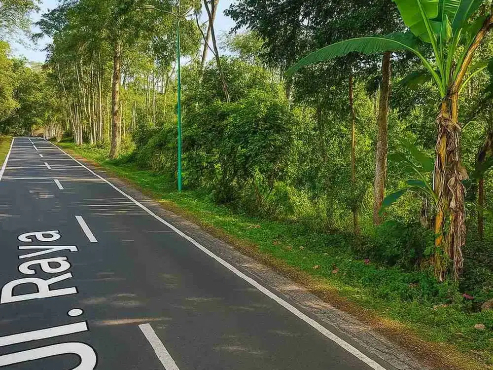 di jual tanah pinggir jalan licin glagah banyuwangi