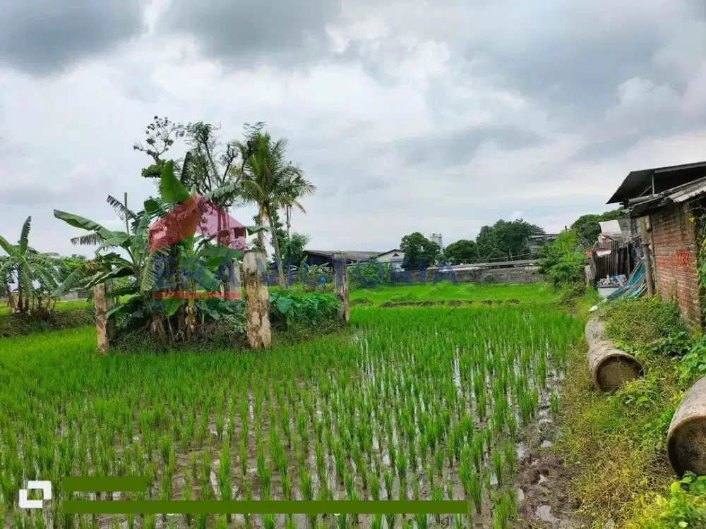 Tanah di Singosari Dekat Puskesmas Ardimulyo