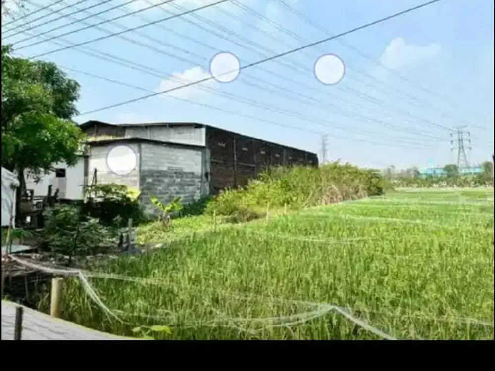 DIJUAL GUDANG HITUNG TANAH RAYA BANGKINGAN SURABAYA