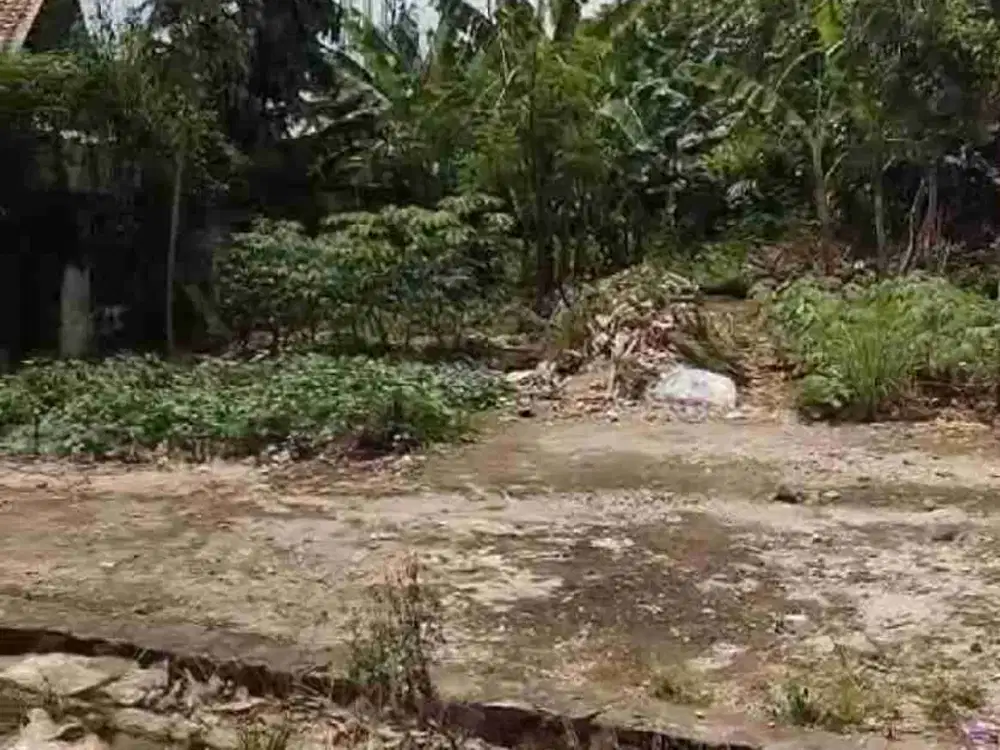 TANAH BUAT RUMAH TINGGAL DAN BUAT KONTRAKAN DI GUNUNG SINDUR