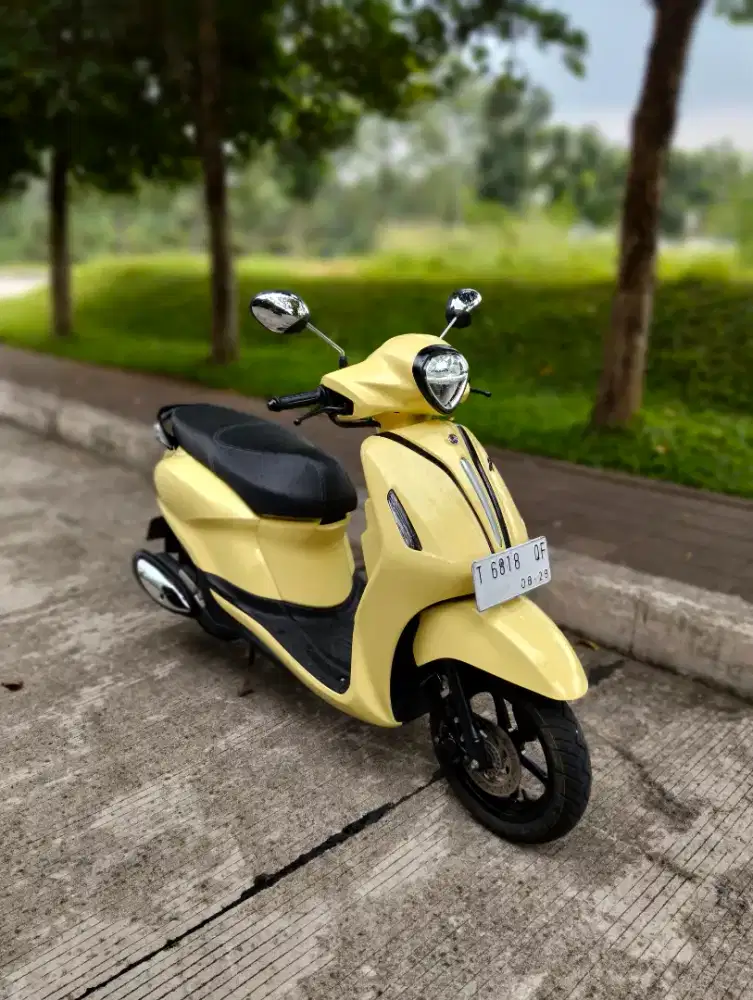 Grand Filano Neo 2024 Gress plat T