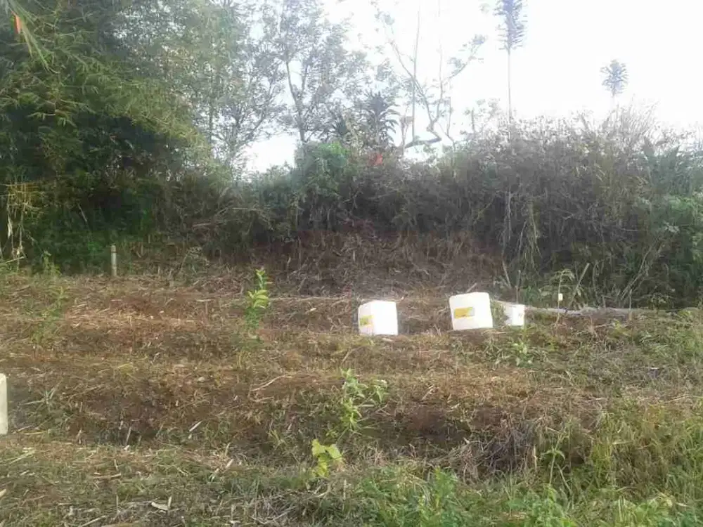 Jual BU tanah pinggir jalan dekat smp 2 ibun