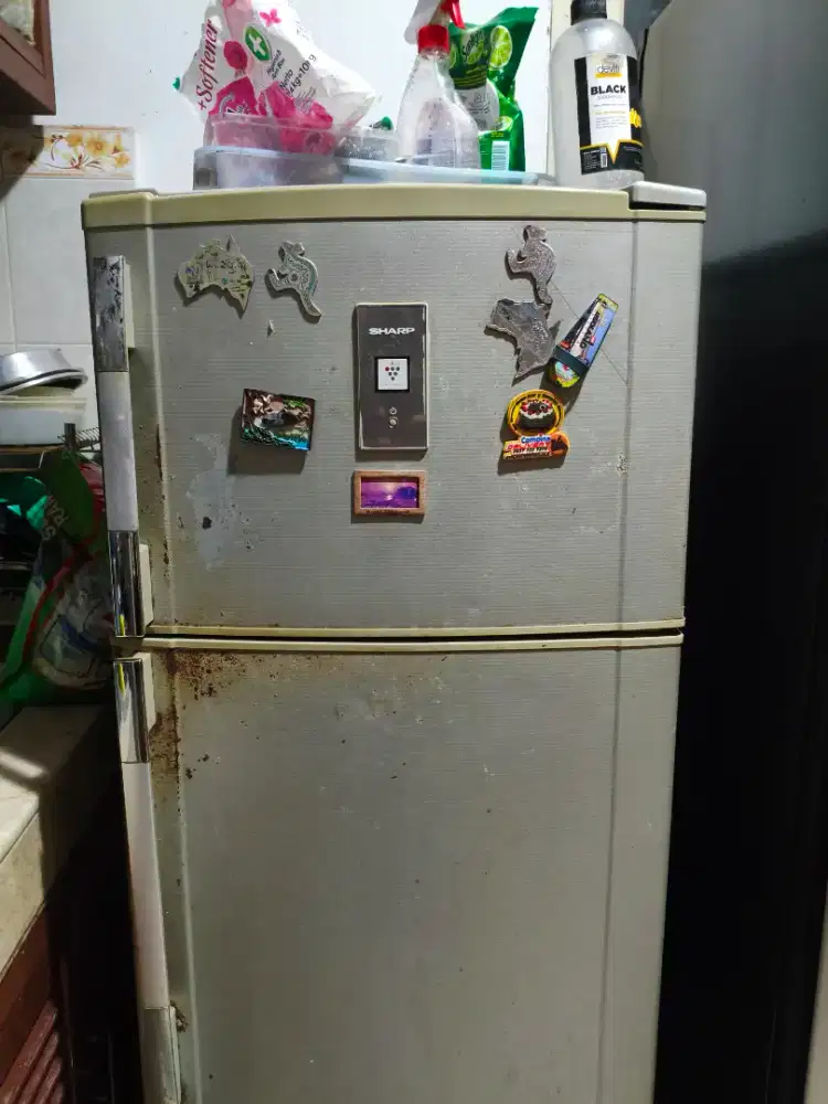 Kulkas Sharp 2 Pintu