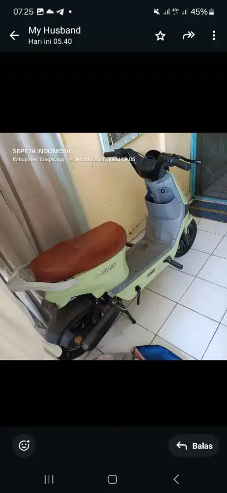 Sepeda listrik d8d