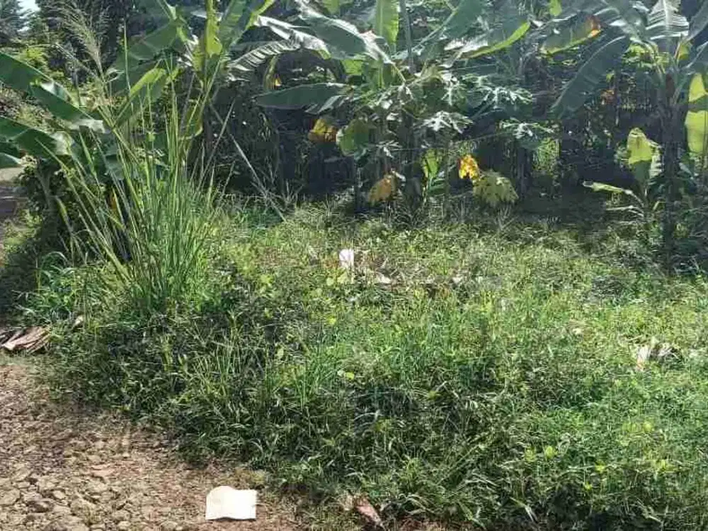 Di jual tanah kavling di lokasi strategis Sasak panjang,tajur halang, Bogor