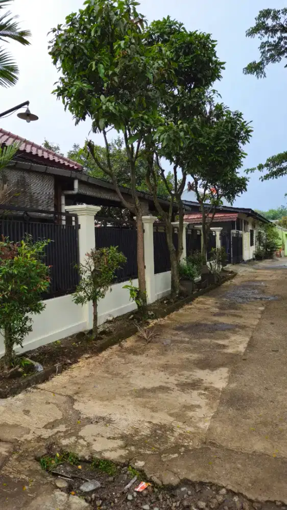 Rumah Nyaman Halaman Luas Dan Usaha Kost2an