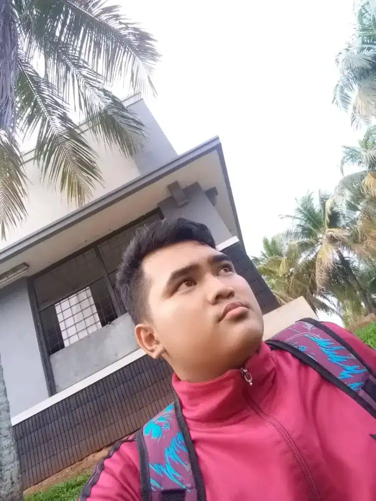 Supir mobil pribadi