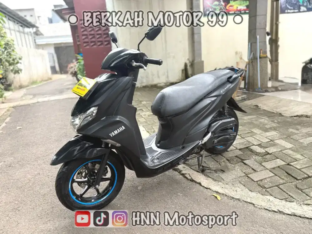 FREEGO TH 2019 ORSINIL
