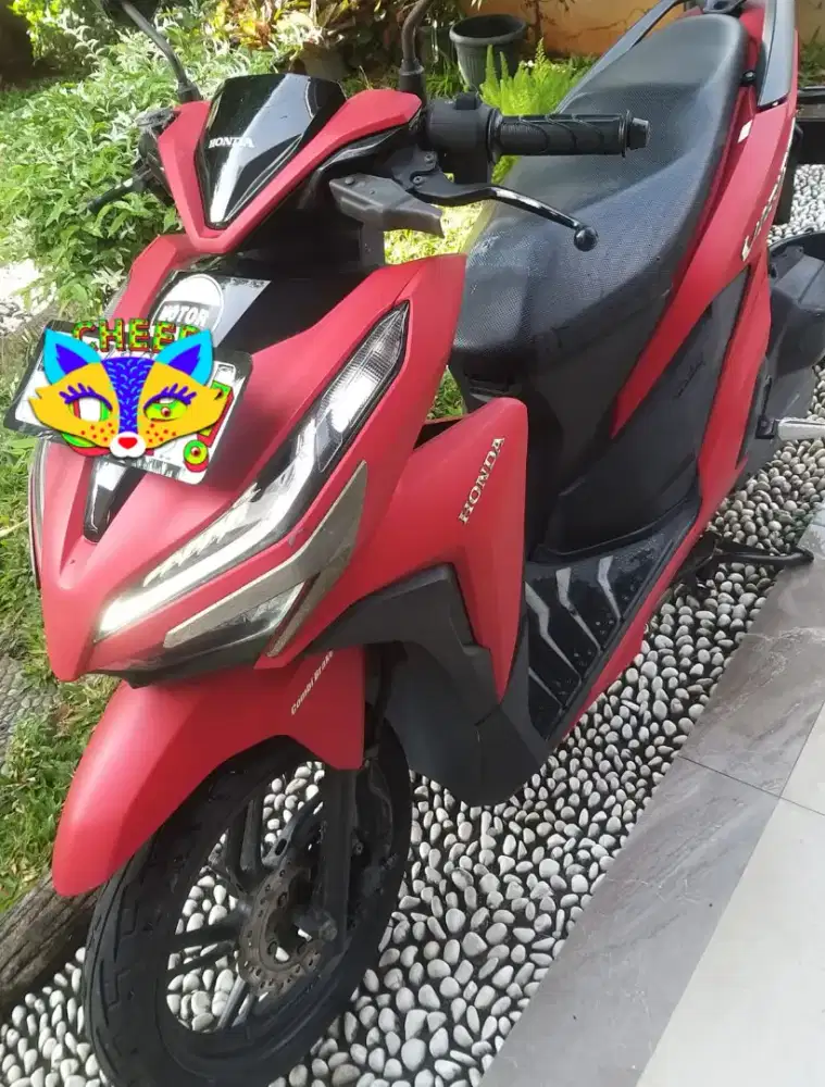 Motor Vario 2018