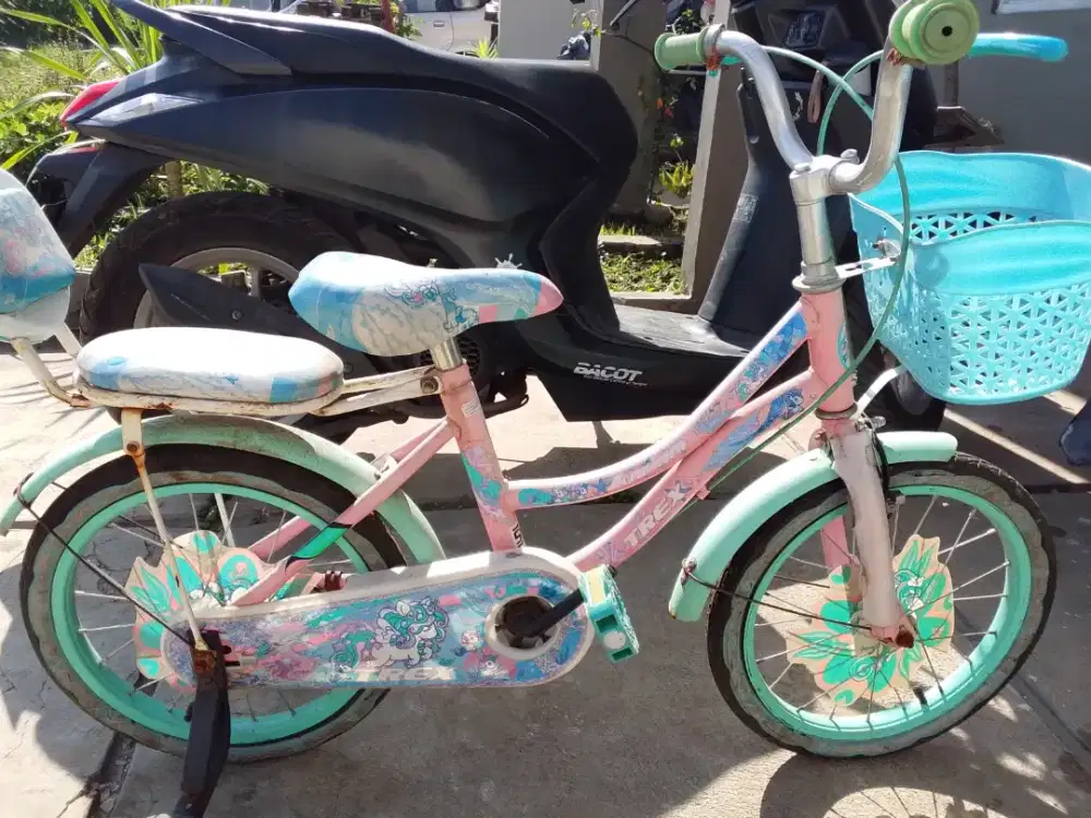Jual sepeda anak perempuan