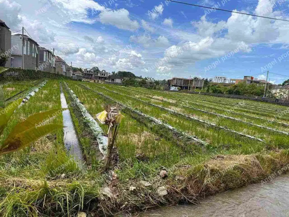 LAND FOR LEASE CLOSE TO SESEH BEACH CEMAGI