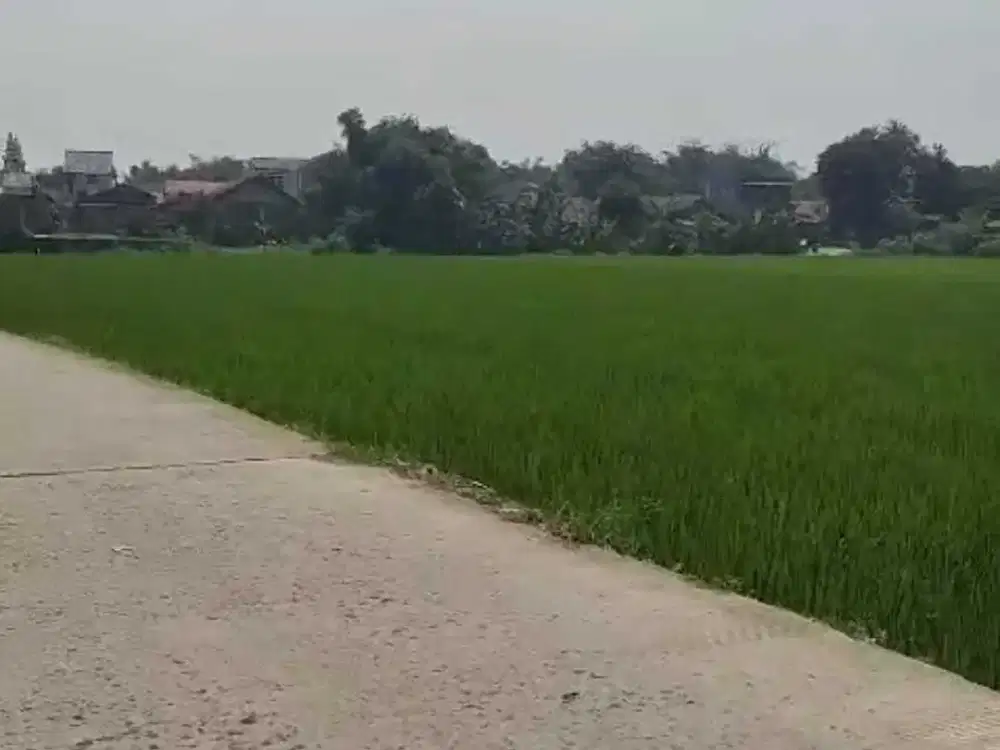 Tanah Luas 1,3  Ha di Karawang Barat Cocok Untuk Mini Cluster