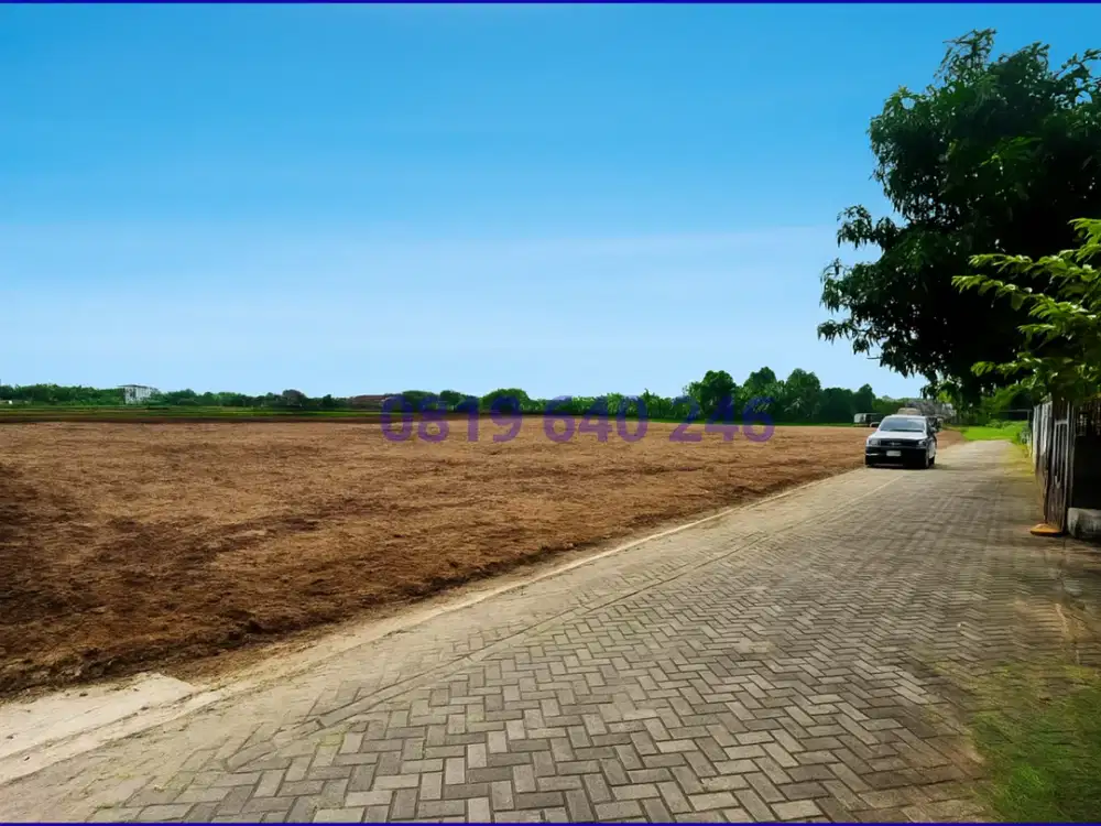 Dalam Kota Jogja Tepi Sawah Cocok Untuk Kost Dan Villa