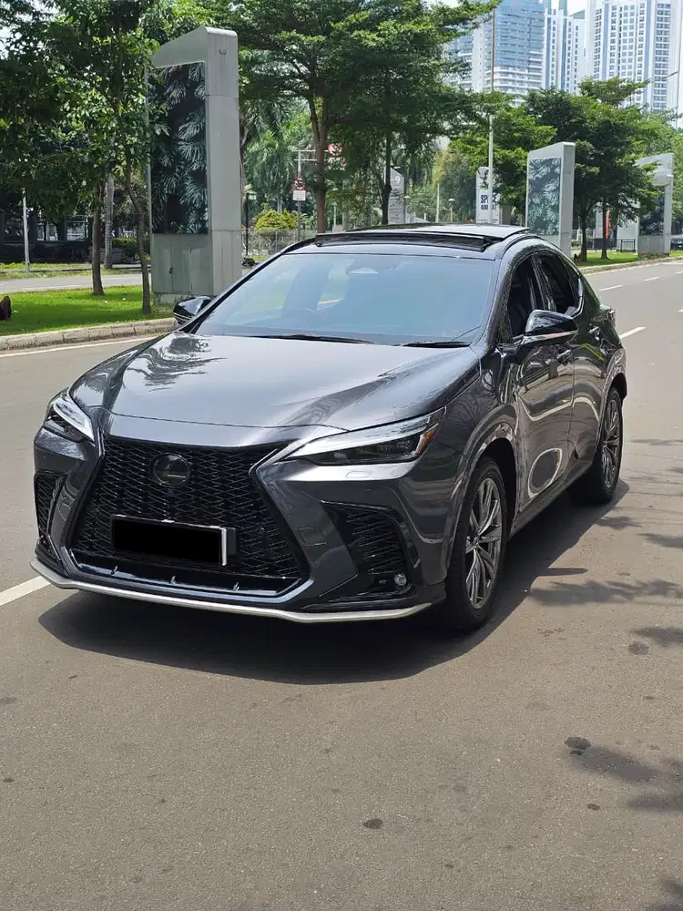 Lexus NX300 2023 Bensin