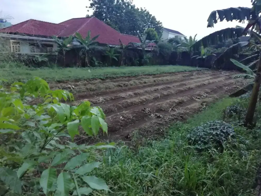 Tanah Luas 800m Lokasi Strategis Cocok Untuk Kost