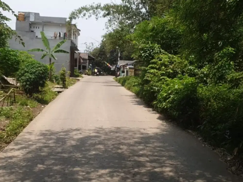 Dijual Tanah Cileles Bantar Panjang Tigaraksa Tangerang