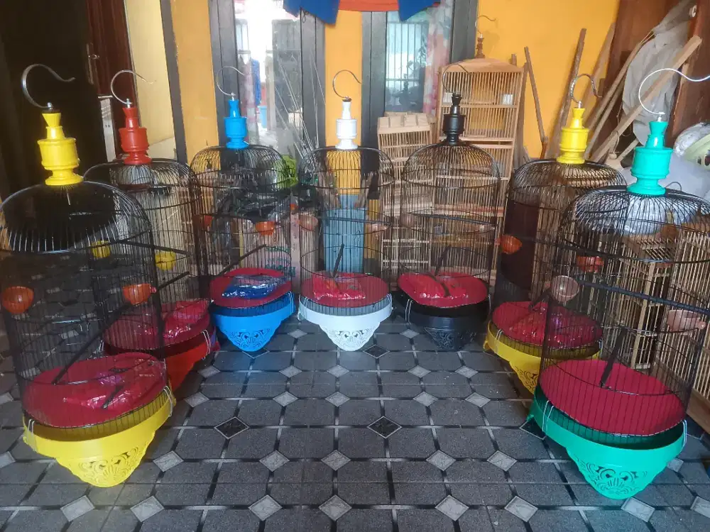 sangkar lovebird warna warni +krodong