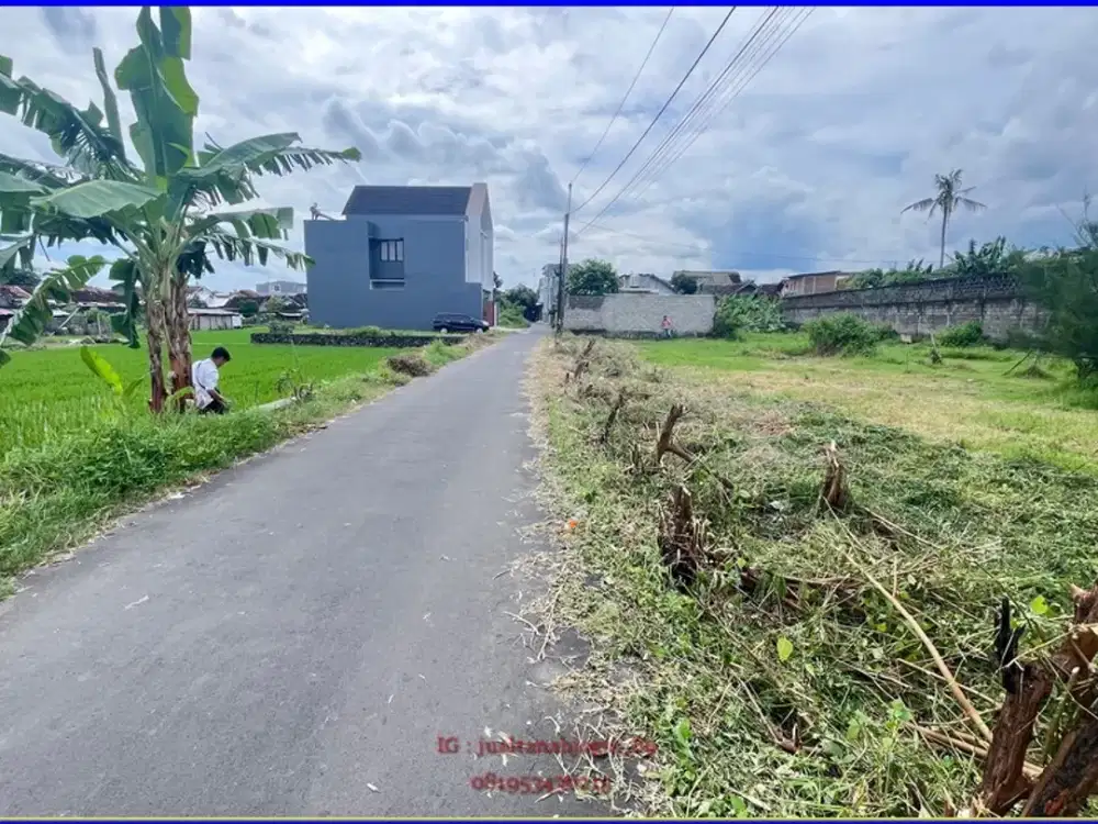 4 jutaan dekat Exit toll Mlati ,SHM P tepi aspal view sawah