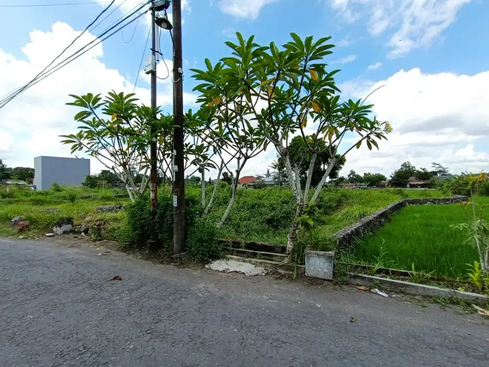 Area Jl Damai Kaliurang dekat kampus UGM dan UII