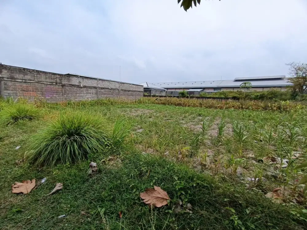 Tanah SHM Pekarangan Dekat Pasar Rejodani Harga Terjangkau
