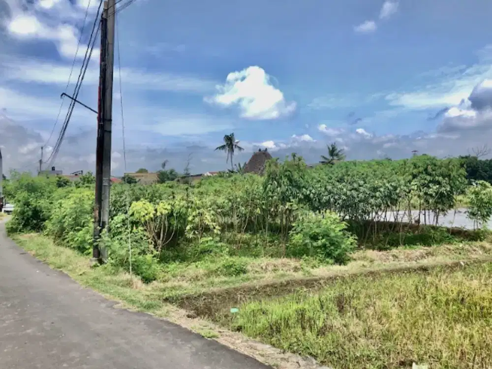 Tanah Pekarangan di Kawasan Strategis, Hanya 3 Menit ke Jln Kabupaten