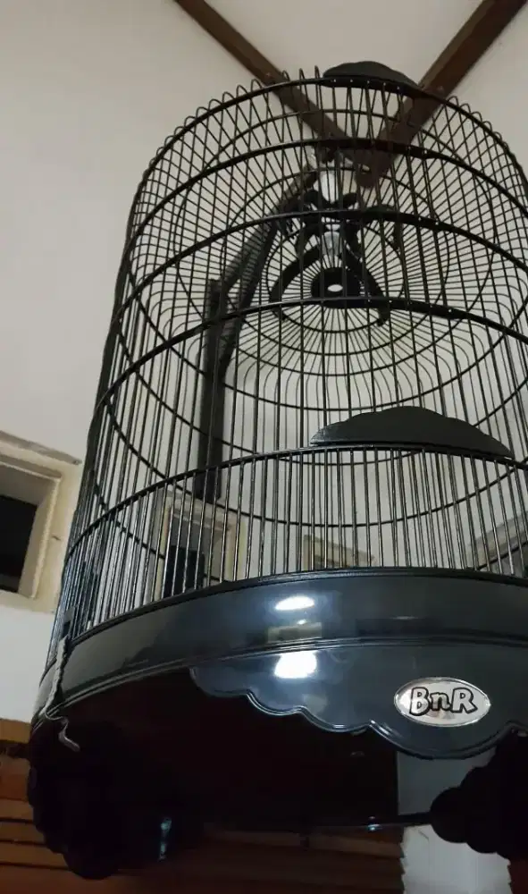 Jual kandang bnr black magic