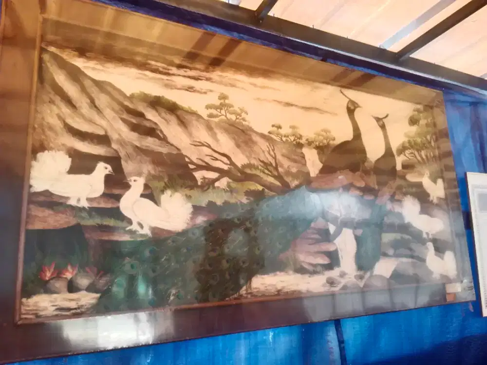 Lukisan kanvas burung merak merpati asli