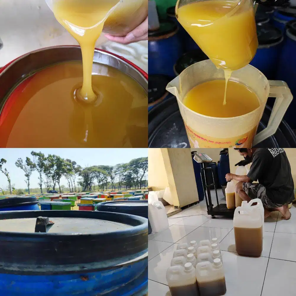AGEN JUAL MADU PANGANDARAN ASLI MURNI, Grosir Murah