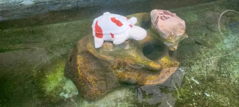 boneka kura kura