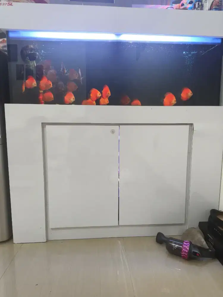 Aquarium set buffet