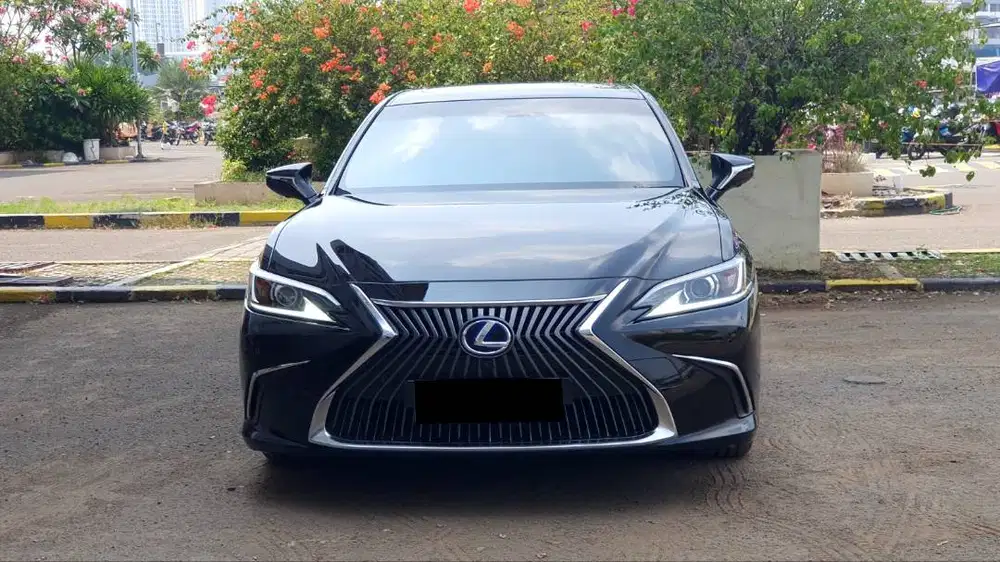 Lexus ES300 ES 300 Hybrid Ultra Luxury AT Black On Brown 2020 Record