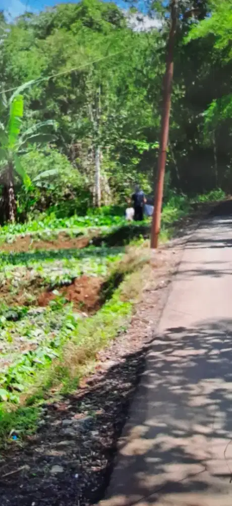 Dijual tanah kebun bisa untuk villa