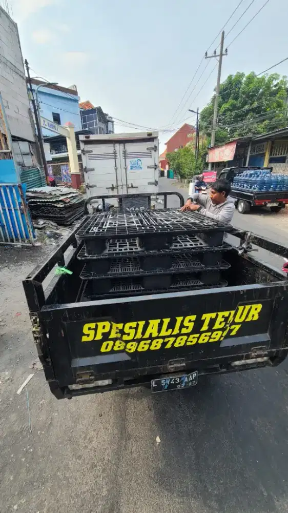 PALLET PLASTIK SECOND HARGA JUAL