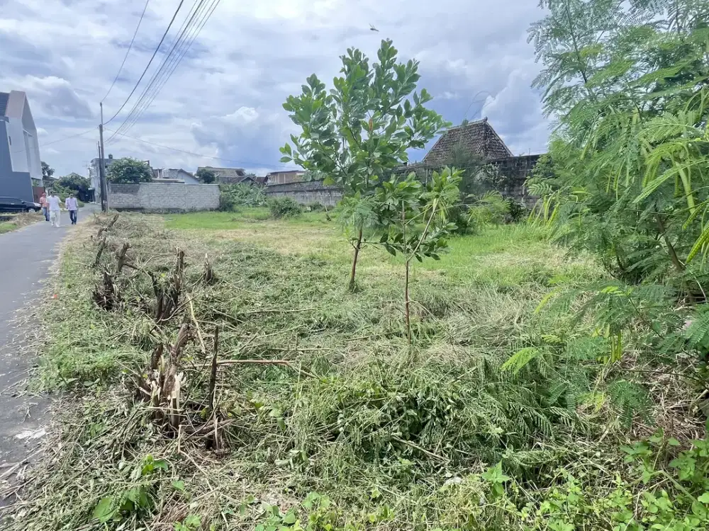 Paling Murah tanah dekat Resto Jambon cocok Hunian,SHM P UNIT