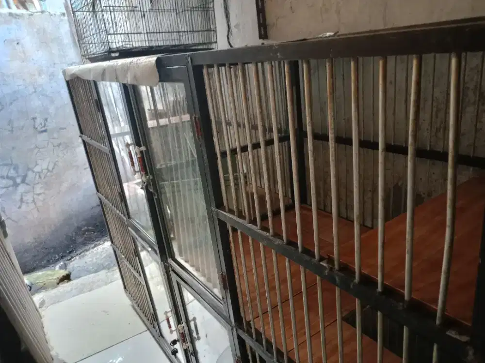 Jual kandang kucing murah