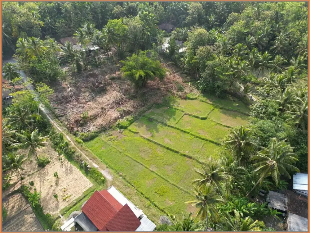 80 Jutaan, Tanah Murah dekat Exit Tol Sentolo - Jogja