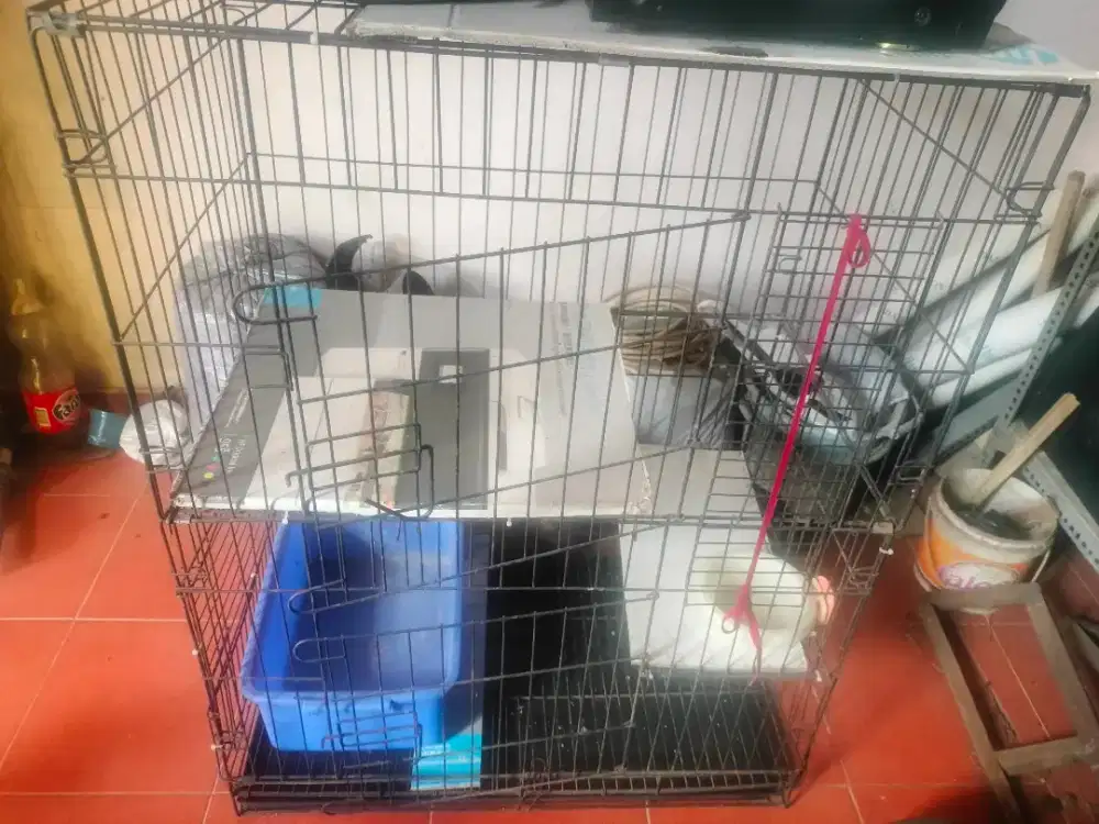 Kandang Jumbo Kucing Anjing Bekas