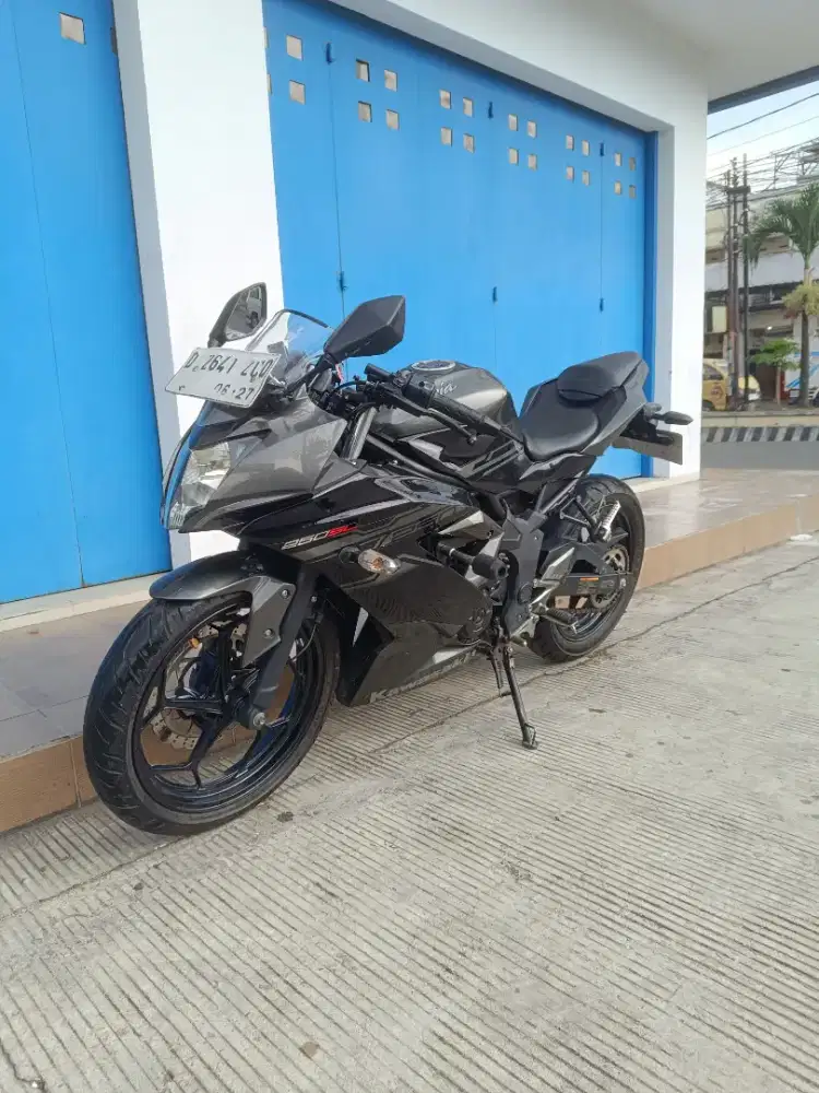 Kawasaki ninja 250 mono 2017