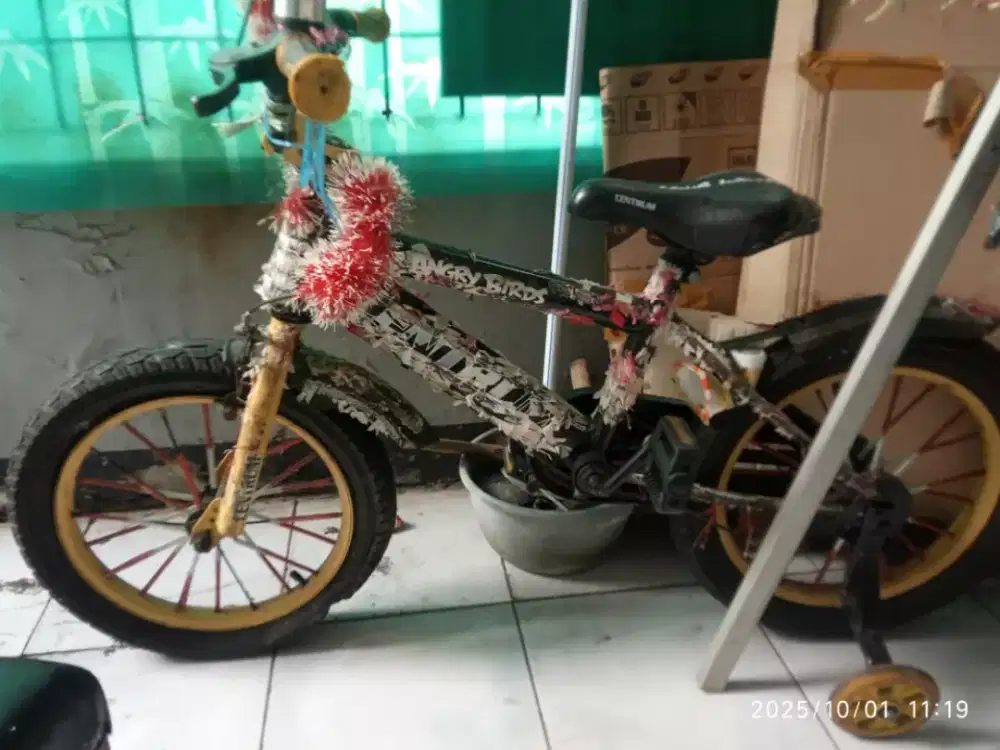 Jual sepeda anak