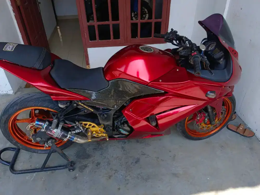 Ninbu 250 karbuu