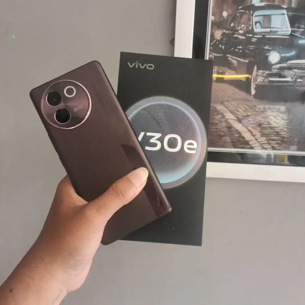 Vivo V30e 8/256, Kondisi Istimewa