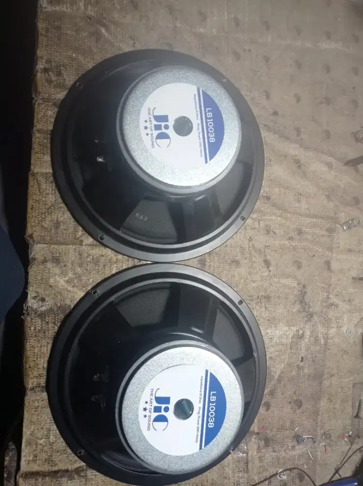 Speaker 10 inch jic
