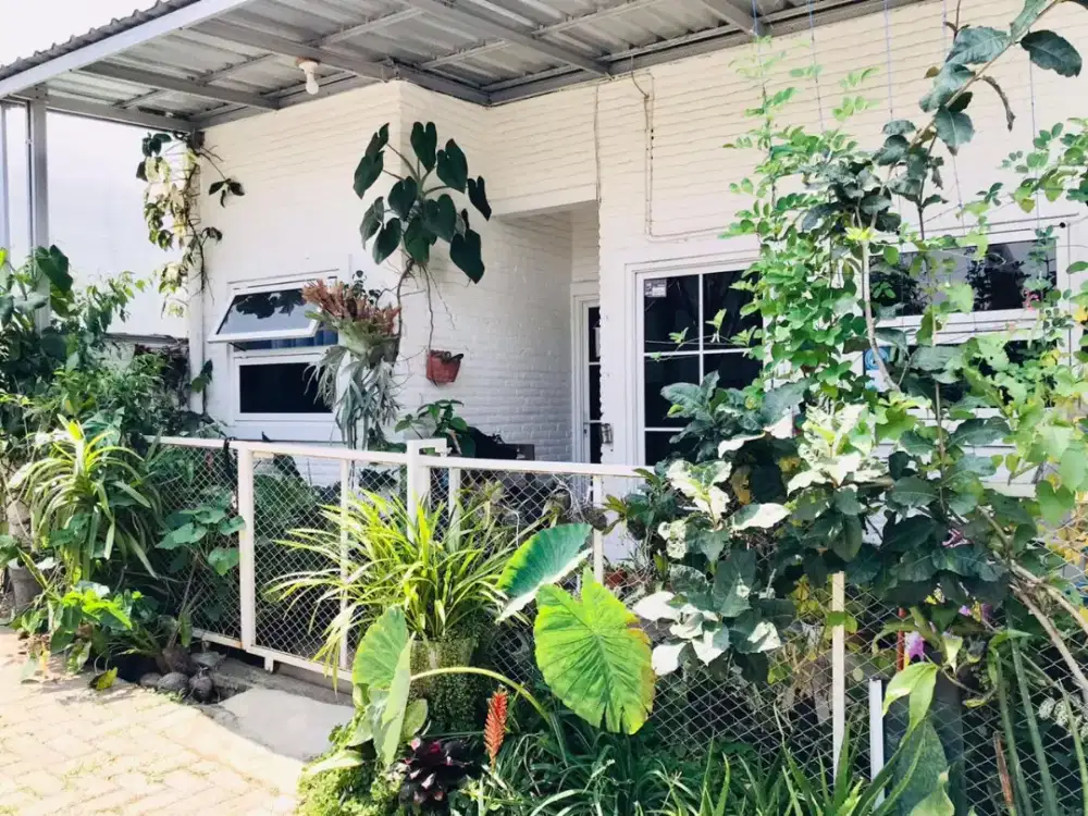 Rumah Dekat Pesantren International Al Hikmah Batu, Lingkungan Nyaman.